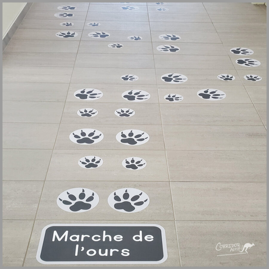 marche de l'ours corridor actif 2